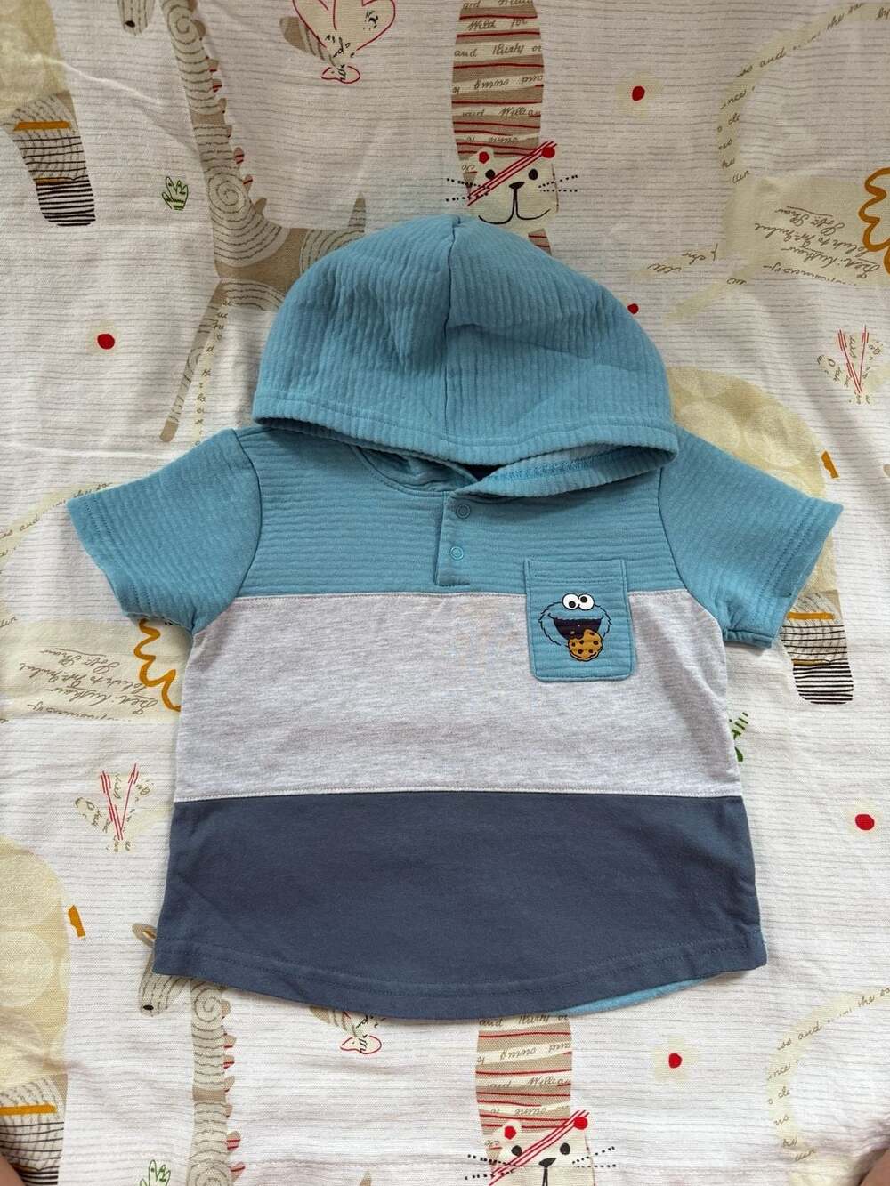 Sesame Street Cookie Monster Colorblock Short Sleeve Hooded Shirt